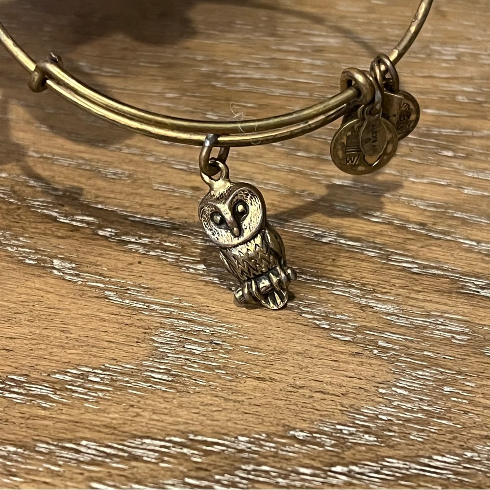 Owl 🦉 Alex and Ani gold bracelet